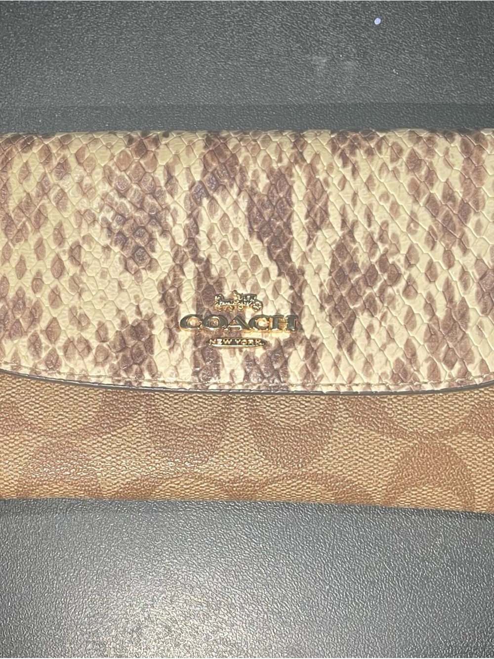 Authentic Coach Medium Envelope Wallet in Snake/Signature Canvas